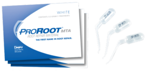 Dentsply Proroot MTA Root Repair Material 0.5 Gm