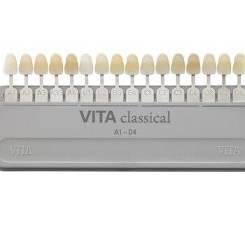 Buy Vita Classical Shade Guide USA | World Dental Products USA