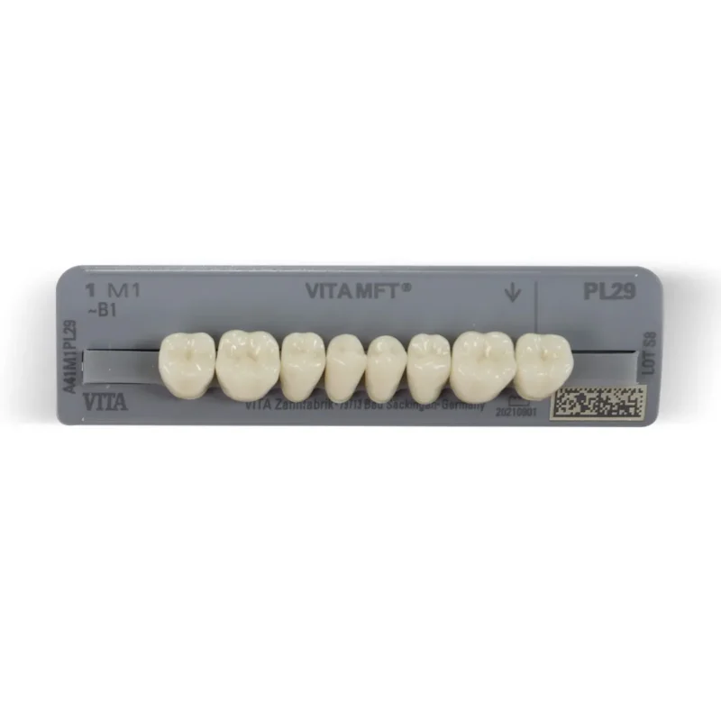 Vita MFT Denture Teeth 1M1 (Set of 28)| Dental Product At Lowest Price