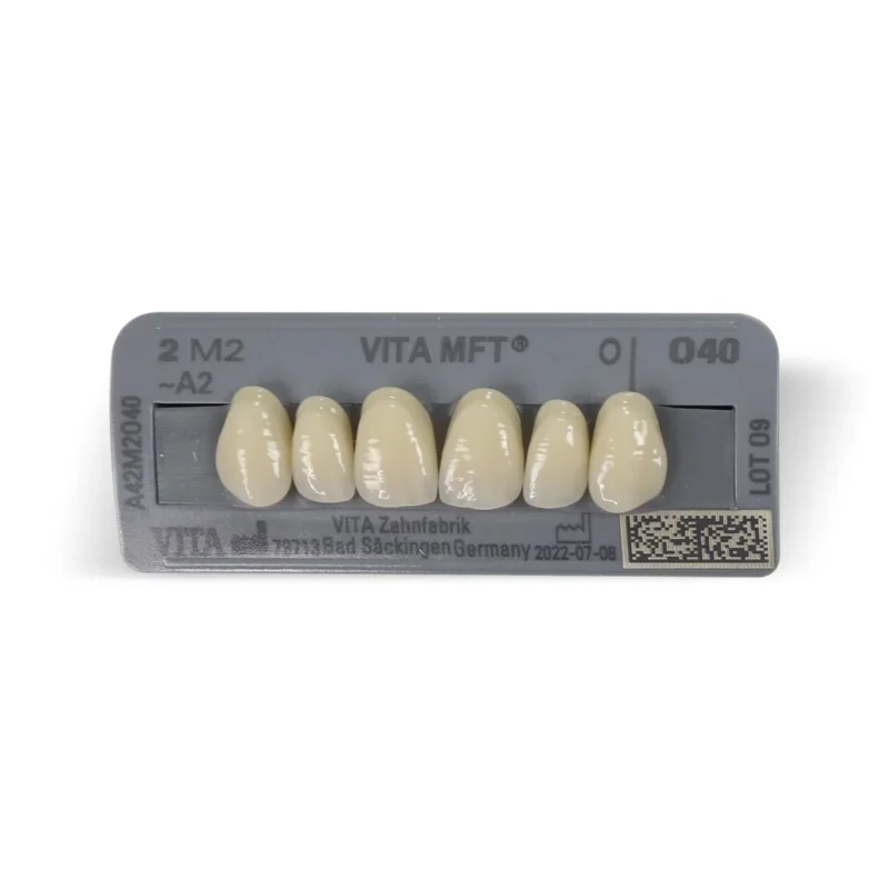 Vita MFT Denture Teeth 2M2 (Set of 28) | Dental Product At Lowest Price