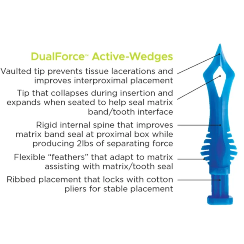 DualForce Active-Wedges | Dental Product At Lowest Price