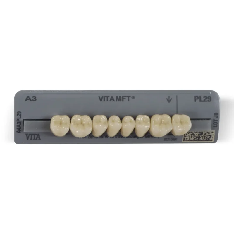 Vita MFT Denture Teeth A3 (Set of 28)| Dental Product At Lowest Price